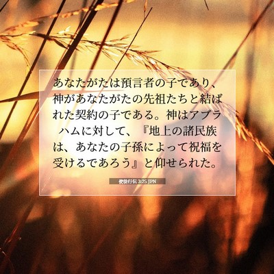 Picture 07 - 使徒行伝 3:25 JPN - あなたがたは預言者の子であり、神 - Bible Verse Picture