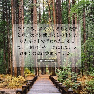 Picture 07 - 使徒行伝 5:12 JPN - そのころ、多くのしるしと奇跡とが - Bible Verse Picture