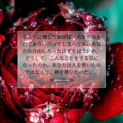 Picture 07 - 使徒行伝 5:4 JPN - 売らずに残しておけば、あなたのも - Bible Verse Picture