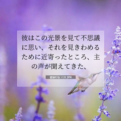 Picture 07 - 使徒行伝 7:31 JPN - 彼はこの光景を見て不思議に思い、 - Bible Verse Picture