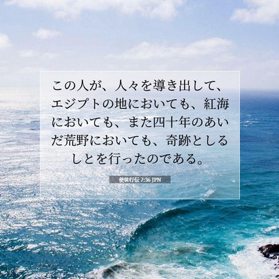Picture 07 - 使徒行伝 7:36 JPN - この人が、人々を導き出して、エジ - Bible Verse Picture