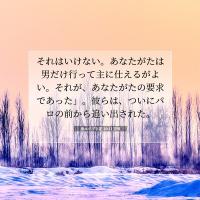 Picture 07 - 出エジプト記 10:11 JPN - それはいけない。あなたがたは男だ - Bible Verse Picture