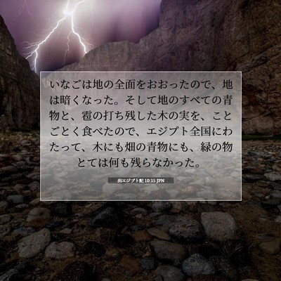 Picture 07 - 出エジプト記 10:15 JPN - いなごは地の全面をおおったので、 - Bible Verse Picture