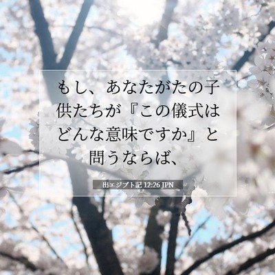 Picture 07 - 出エジプト記 12:26 JPN - もし、あなたがたの子供たちが『こ - Bible Verse Picture
