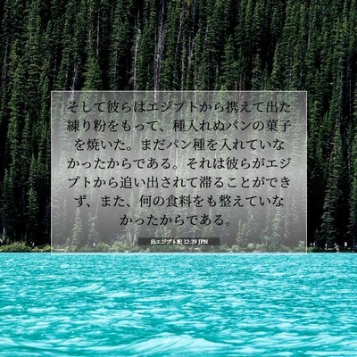 Picture 07 - 出エジプト記 12:39 JPN - そして彼らはエジプトから携えて出 - Bible Verse Picture