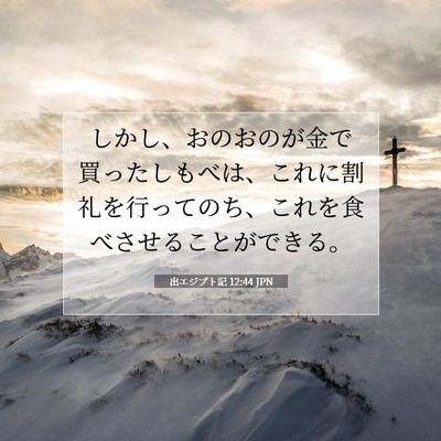 Picture 07 - 出エジプト記 12:44 JPN - しかし、おのおのが金で買ったしも - Bible Verse Picture
