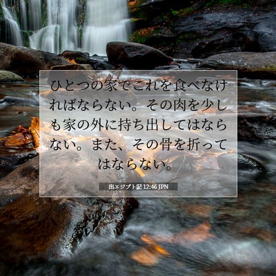 Picture 07 - 出エジプト記 12:46 JPN - ひとつの家でこれを食べなければな - Bible Verse Picture