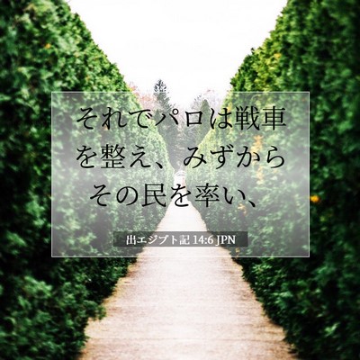 Picture 07 - 出エジプト記 14:6 JPN - それでパロは戦車を整え、みずから - Bible Verse Picture