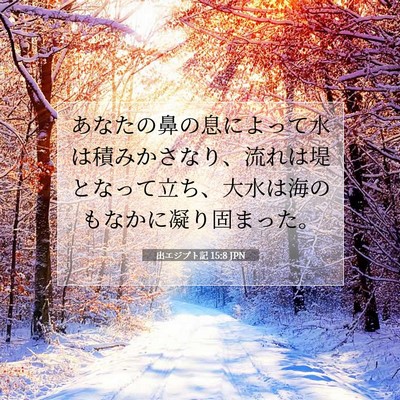 Picture 07 - 出エジプト記 15:8 JPN - あなたの鼻の息によって水は積みか - Bible Verse Picture
