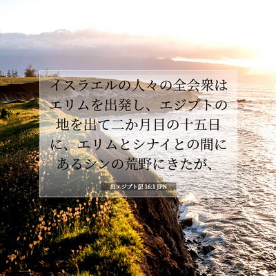 Picture 07 - 出エジプト記 16:1 JPN - イスラエルの人々の全会衆はエリム - Bible Verse Picture