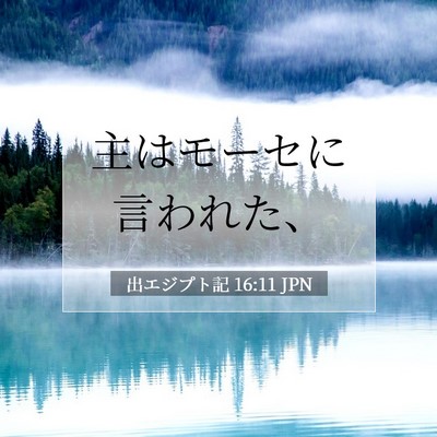 Picture 07 - 出エジプト記 16:11 JPN - 主はモーセに言われた、 - Bible Verse Picture