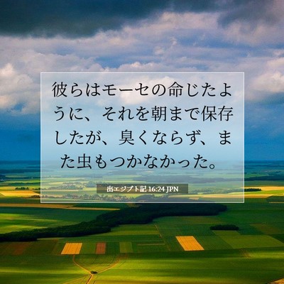 Picture 07 - 出エジプト記 16:24 JPN - 彼らはモーセの命じたように、それ - Bible Verse Picture