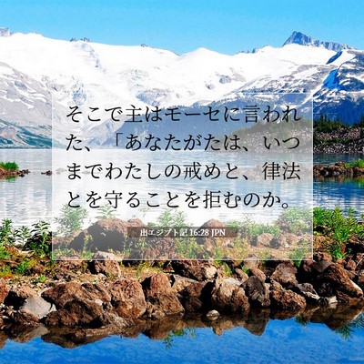 Picture 07 - 出エジプト記 16:28 JPN - そこで主はモーセに言われた、「あ - Bible Verse Picture