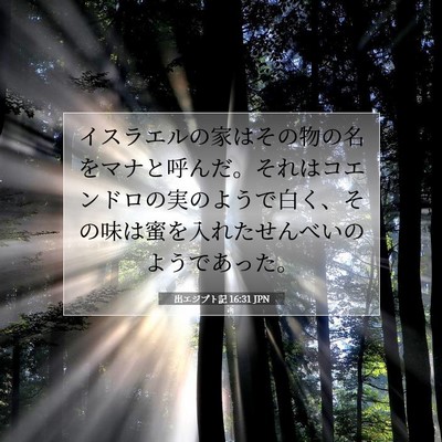 Picture 07 - 出エジプト記 16:31 JPN - イスラエルの家はその物の名をマナ - Bible Verse Picture