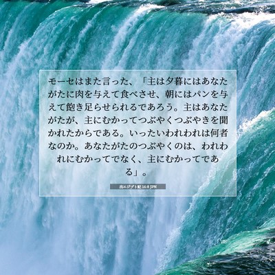 Picture 07 - 出エジプト記 16:8 JPN - モーセはまた言った、「主は夕暮に - Bible Verse Picture