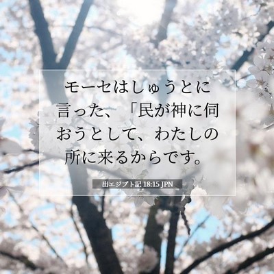 Picture 07 - 出エジプト記 18:15 JPN - モーセはしゅうとに言った、「民が - Bible Verse Picture