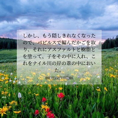 Picture 07 - 出エジプト記 2:3 JPN - しかし、もう隠しきれなくなったの - Bible Verse Picture