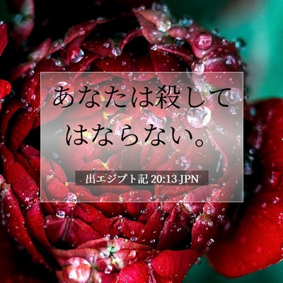 Picture 07 - 出エジプト記 20:13 JPN - あなたは殺してはならない。 - Bible Verse Picture