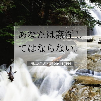 Picture 07 - 出エジプト記 20:14 JPN - あなたは姦淫してはならない。 - Bible Verse Picture