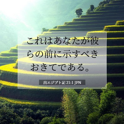 Picture 07 - 出エジプト記 21:1 JPN - これはあなたが彼らの前に示すべき - Bible Verse Picture
