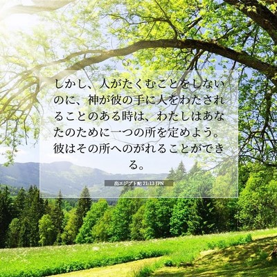 Picture 07 - 出エジプト記 21:13 JPN - しかし、人がたくむことをしないの - Bible Verse Picture