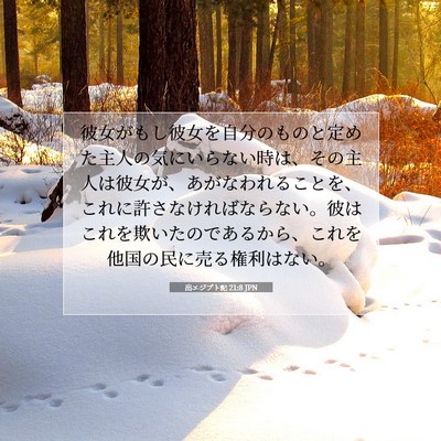 Picture 07 - 出エジプト記 21:8 JPN - 彼女がもし彼女を自分のものと定め - Bible Verse Picture