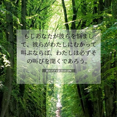 Picture 07 - 出エジプト記 22:23 JPN - もしあなたが彼らを悩まして、彼ら - Bible Verse Picture