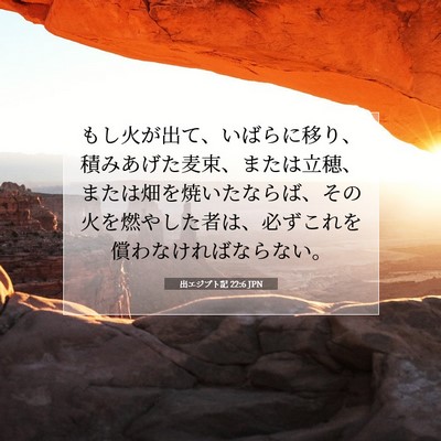 Picture 07 - 出エジプト記 22:6 JPN - もし火が出て、いばらに移り、積み - Bible Verse Picture