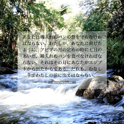 Picture 07 - 出エジプト記 23:15 JPN - あなたは種入れぬパンの祭を守らな - Bible Verse Picture