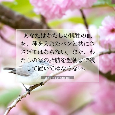 Picture 07 - 出エジプト記 23:18 JPN - あなたはわたしの犠牲の血を、種を - Bible Verse Picture