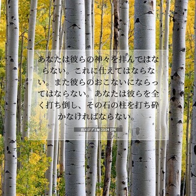 Picture 07 - 出エジプト記 23:24 JPN - あなたは彼らの神々を拝んではなら - Bible Verse Picture