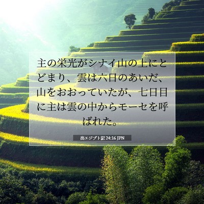 Picture 07 - 出エジプト記 24:16 JPN - 主の栄光がシナイ山の上にとどまり - Bible Verse Picture