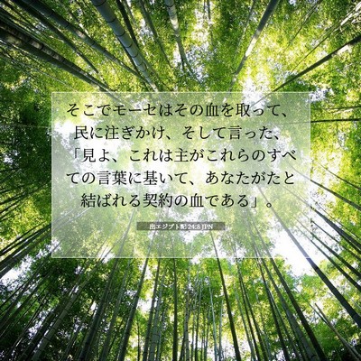 Picture 07 - 出エジプト記 24:8 JPN - そこでモーセはその血を取って、民 - Bible Verse Picture