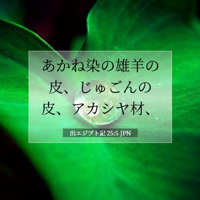 Picture 07 - 出エジプト記 25:5 JPN - あかね染の雄羊の皮、じゅごんの皮 - Bible Verse Picture