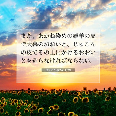 Picture 07 - 出エジプト記 26:14 JPN - また、あかね染めの雄羊の皮で天幕 - Bible Verse Picture