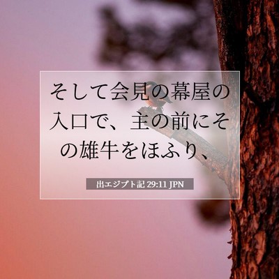 Picture 07 - 出エジプト記 29:11 JPN - そして会見の幕屋の入口で、主の前 - Bible Verse Picture