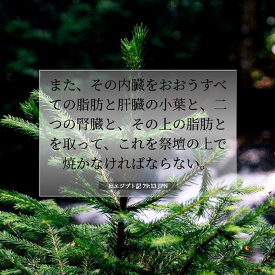 Picture 07 - 出エジプト記 29:13 JPN - また、その内臓をおおうすべての脂 - Bible Verse Picture