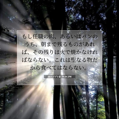 Picture 07 - 出エジプト記 29:34 JPN - もし任職の肉、あるいはパンのうち - Bible Verse Picture