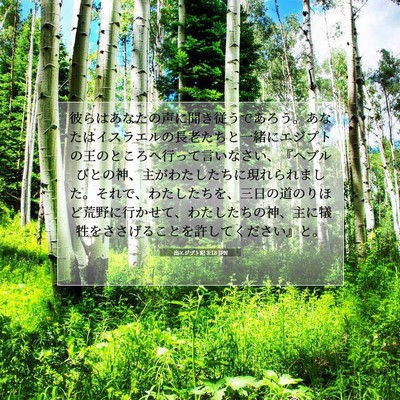 Picture 07 - 出エジプト記 3:18 JPN - 彼らはあなたの声に聞き従うであろ - Bible Verse Picture