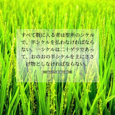 Picture 07 - 出エジプト記 30:13 JPN - すべて数に入る者は聖所のシケルで - Bible Verse Picture