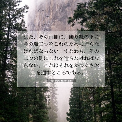 Picture 07 - 出エジプト記 30:4 JPN - また、その両側に、飾り縁の下に金 - Bible Verse Picture