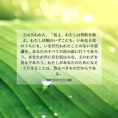 Picture 07 - 出エジプト記 34:10 JPN - 主は言われた、「見よ、わたしは契 - Bible Verse Picture