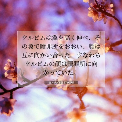 Picture 07 - 出エジプト記 37:9 JPN - ケルビムは翼を高く伸べ、その翼で - Bible Verse Picture