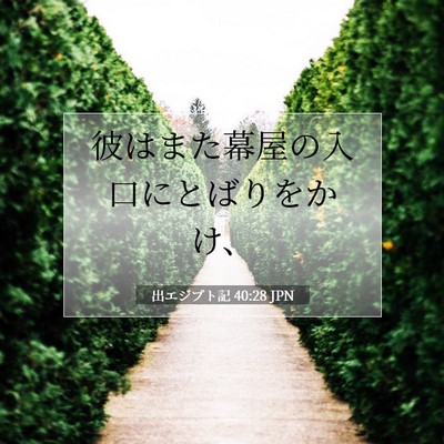 Picture 07 - 出エジプト記 40:28 JPN - 彼はまた幕屋の入口にとばりをかけ - Bible Verse Picture