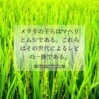 Picture 07 - 出エジプト記 6:19 JPN - メラリの子らはマヘリとムシである - Bible Verse Picture