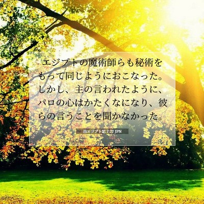 Picture 07 - 出エジプト記 7:22 JPN - エジプトの魔術師らも秘術をもって - Bible Verse Picture