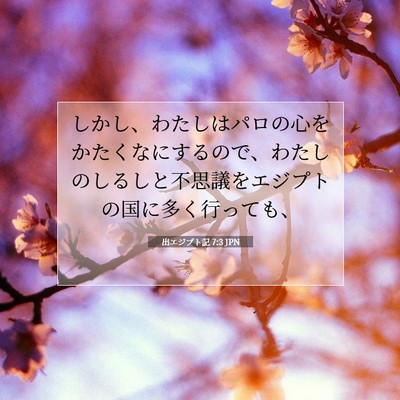 Picture 07 - 出エジプト記 7:3 JPN - しかし、わたしはパロの心をかたく - Bible Verse Picture