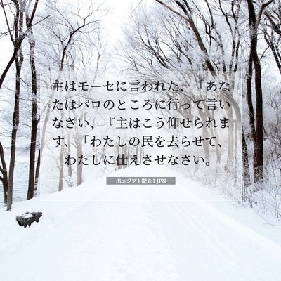 Picture 07 - 出エジプト記 8:1 JPN - 主はモーセに言われた、「あなたは - Bible Verse Picture