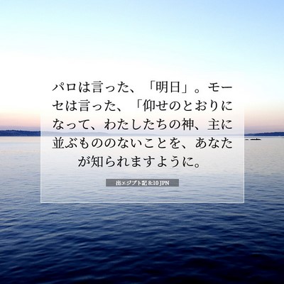 Picture 07 - 出エジプト記 8:10 JPN - パロは言った、「明日」。モーセは - Bible Verse Picture