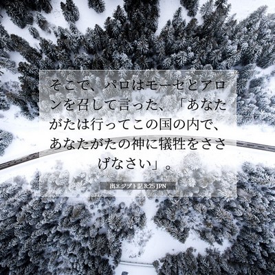 Picture 07 - 出エジプト記 8:25 JPN - そこで、パロはモーセとアロンを召 - Bible Verse Picture